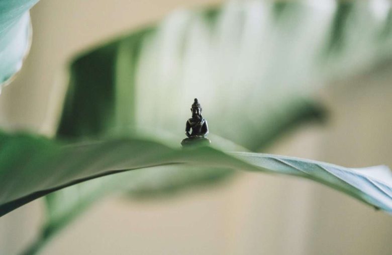 meditatie adhd add